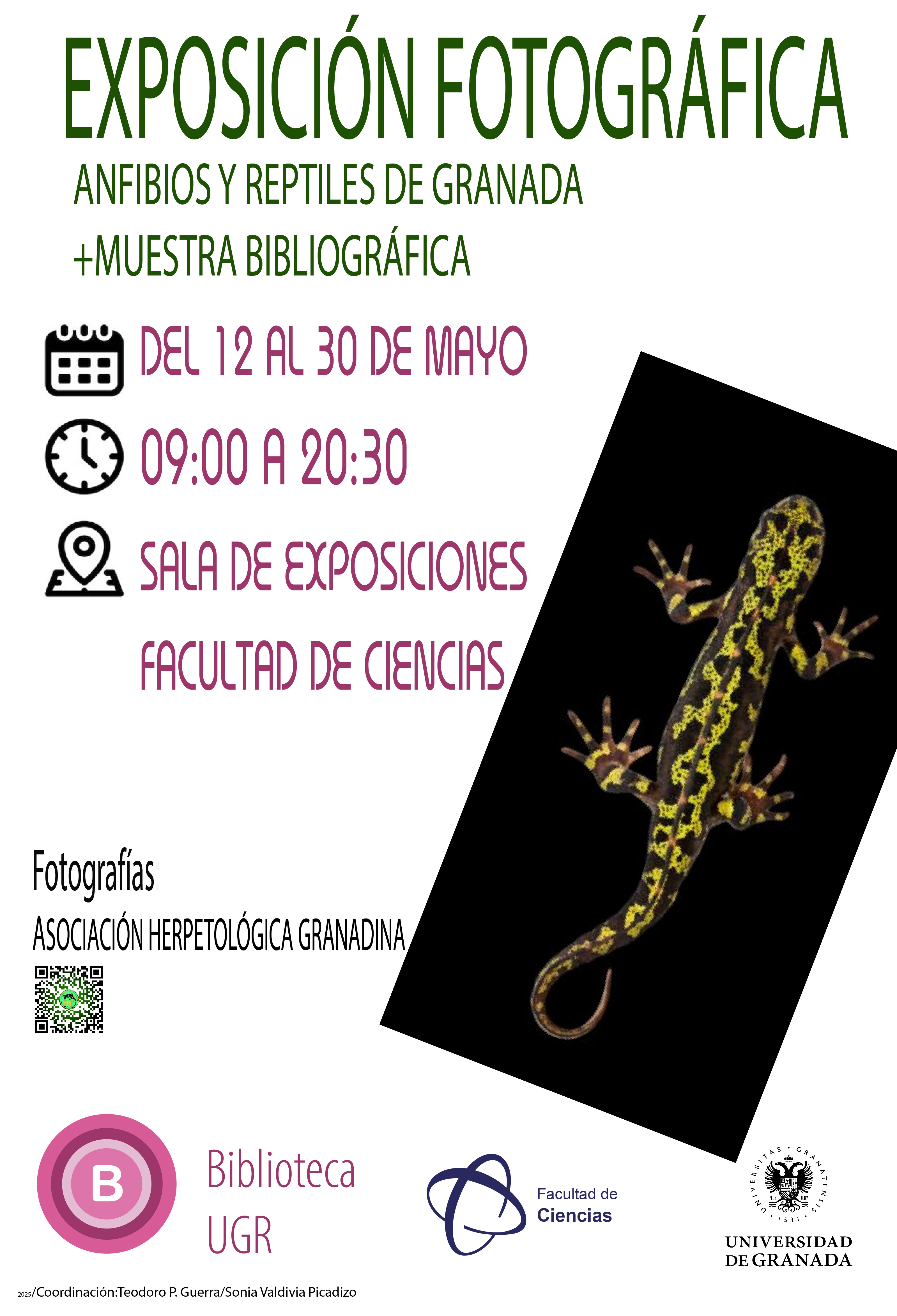 Anfibios y Reptíles de Granada. Exposición Fotográfica. Facultad de Ciencias Anfibios y Reptíles de Granada. Exposición Fotográfica. Facultad de Ciencias