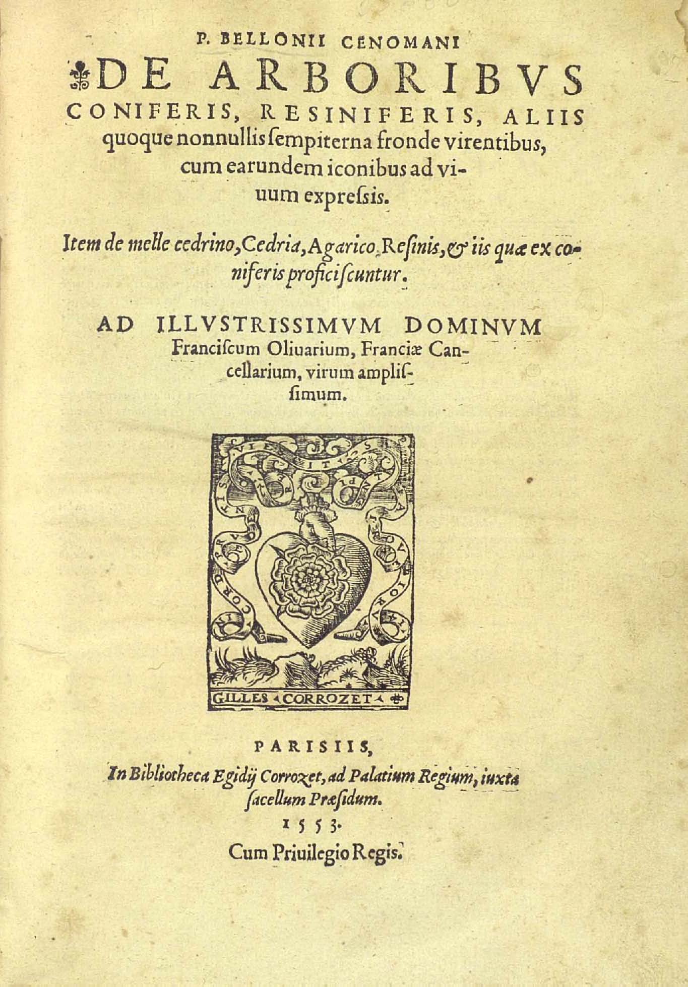 Belon, Pierre, 1517-1564