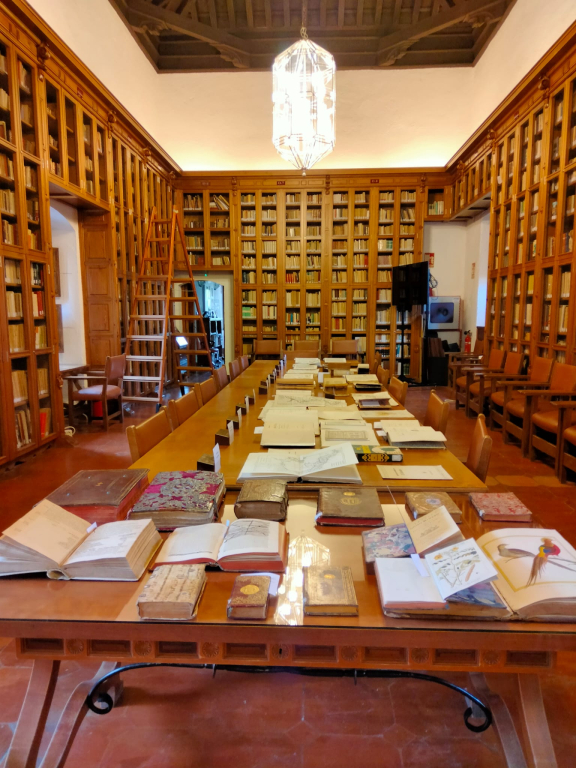 Hospital Real Library: Heritage documents from/about visitors' countries/cultures