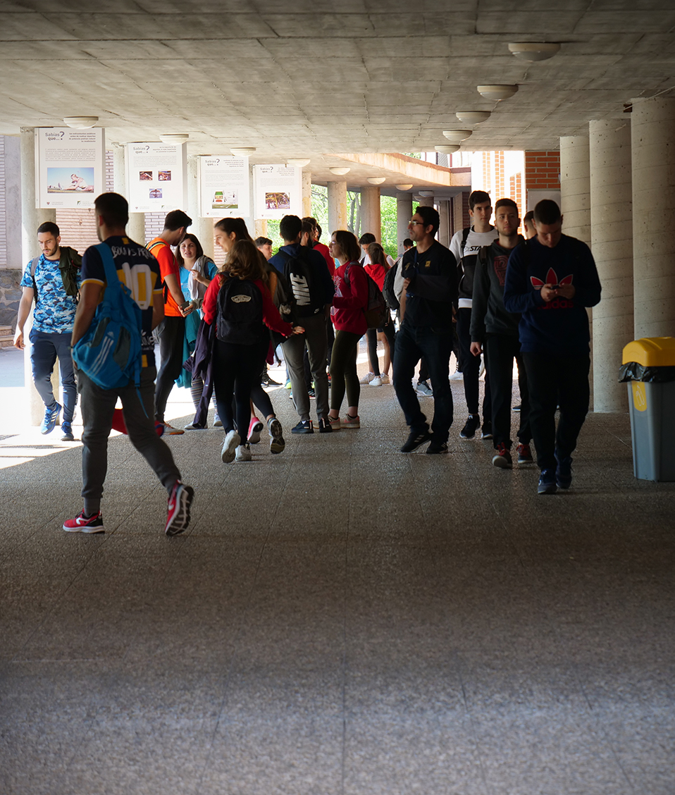 Estudiantes de la Facultad de Ciencias del Deporte caminando por zonas exteriores techadas entre edificios.
