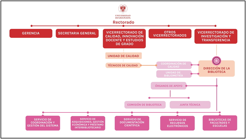 Organigrama Biblioteca Universitaria