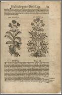 Acerca de la materia medicinal…, 1570