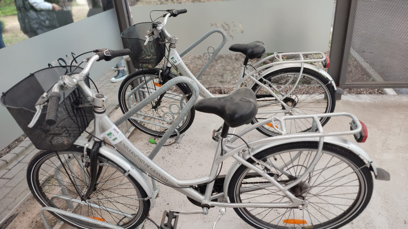 Bicicletas en Ciencias de la Educación Bicicletas
