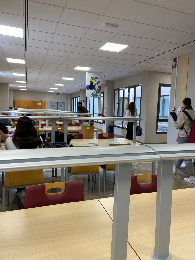 Apertura de Bibliotecas en Fin de Semana durante el Periodo de Exámenes (24 de Mayo - 6 Julio 2025)